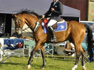 For Sale £2,000 - £7,000